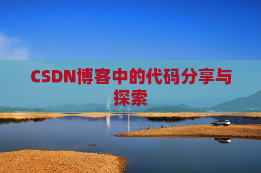 CSDN博客中的代码分享与探索